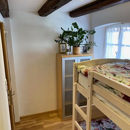 Le 128, Duplex Alsacien 10 Personnes, Piscine Apartment Horbourg Exterior foto